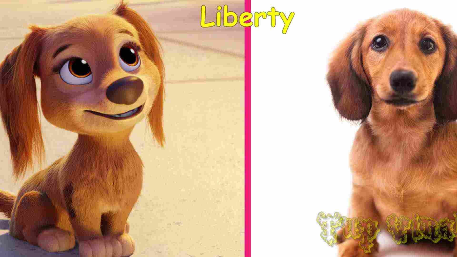 The Ultimate Puppy Makeover img